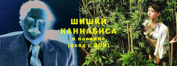 спайс Алзамай