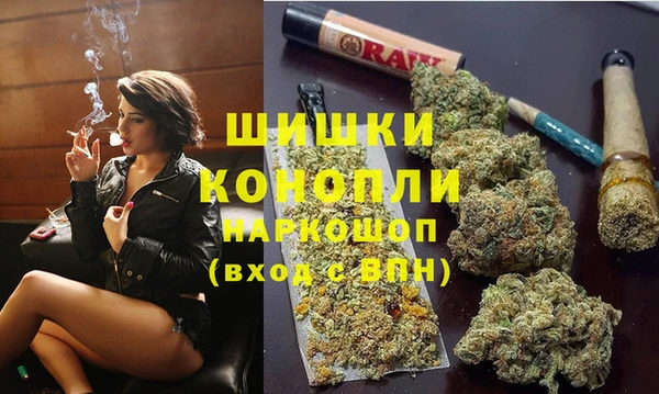 спайс Алзамай