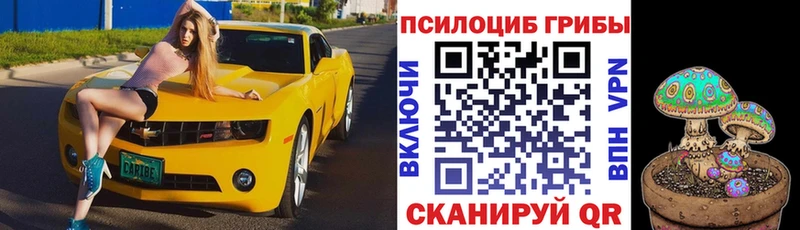 Галлюциногенные грибы прущие грибы блэк спрут ссылка Туран