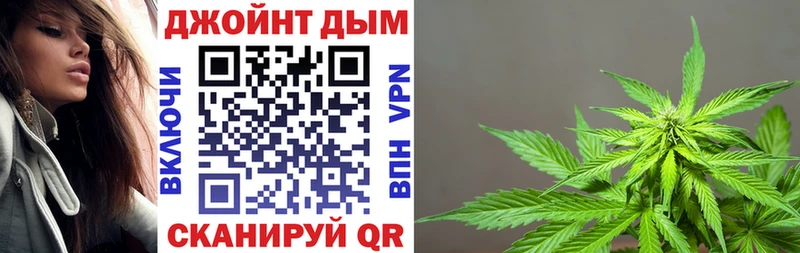Бошки Шишки сатива  Туран 
